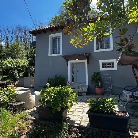 別荘 The Forest House In Pelion