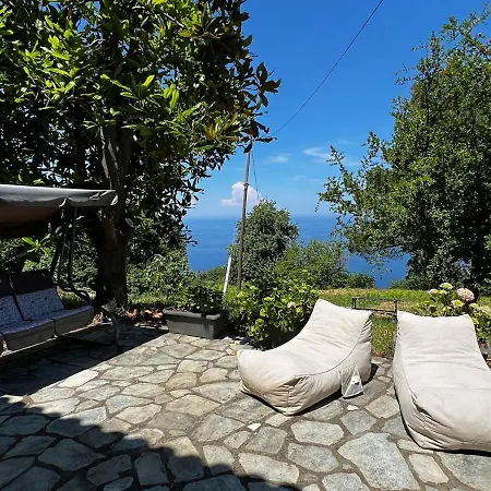 The Forest House In Pelion 別荘 Anilio Pelion
