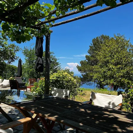 The Forest House In Pelion * Anilio Pelion
