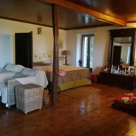 The Forest House In Pelion 別荘 Anilio Pelion